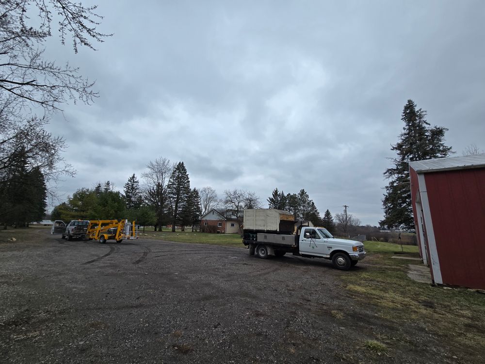 All Photos for D Hale Tree Service in Ann Arbor, MI