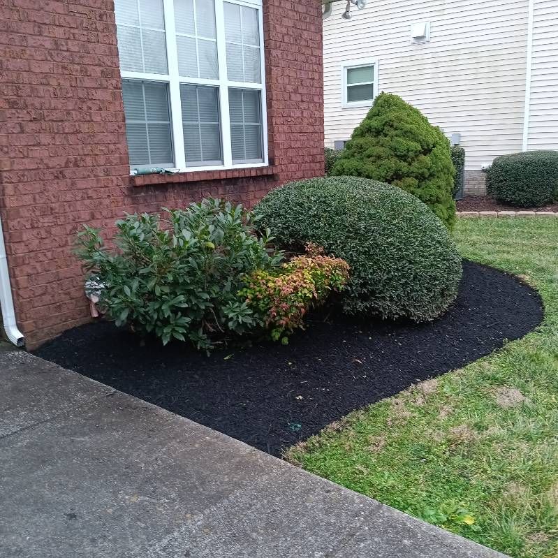 All Photos for The Right Price Right Choice Lawn Care Services in Murfreesboro, TN