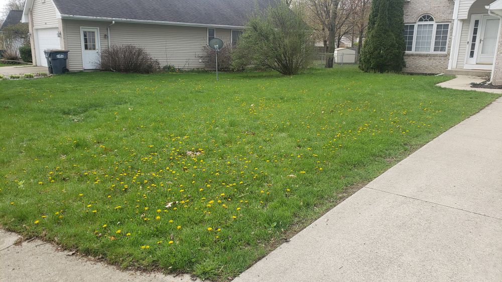 All Photos for Land Movers in Kalamazoo County, MI