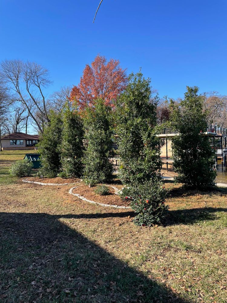Enhance your landscape's health with our expert fertilization services, providing essential nutrients to boost tree growth and resilience, ensuring lush greenery and vibrant foliage for a thriving home environment. for Arbor Max Solutions in Gun Barrel City, TX