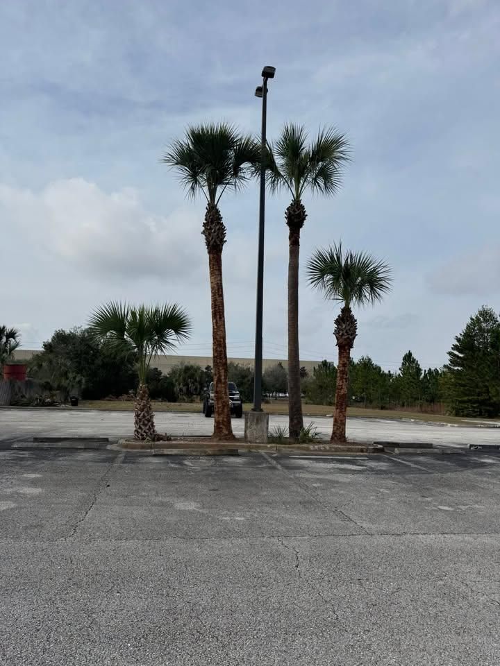 All Photos for Jacksonville Outdoors in Jacksonville, FL