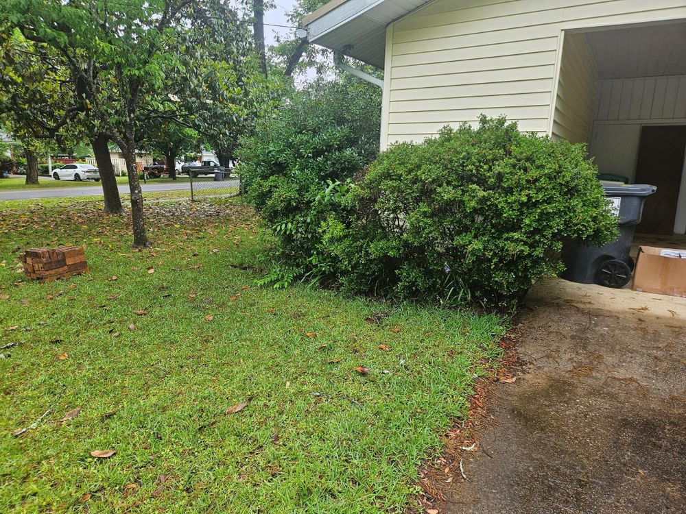 All Photos for Yard Recovery Services in Byron, GA