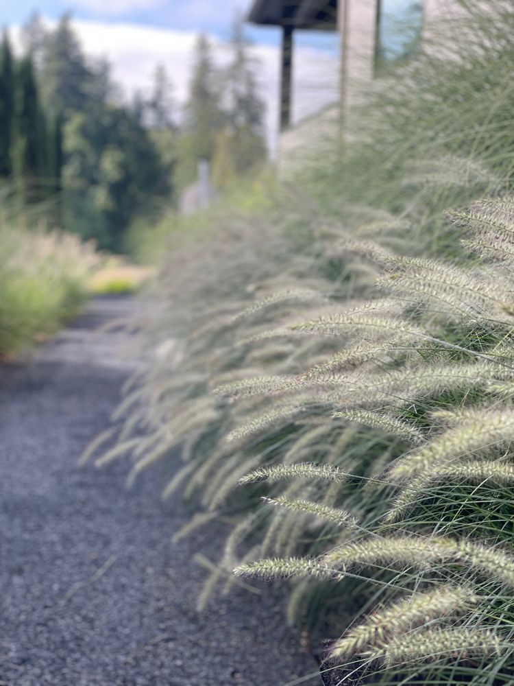 All Photos for Courtney Lewis Landscape Design in Portland, OR
