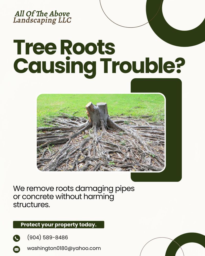 All Photos for All of the Above Landscaping in Orange Park, FL