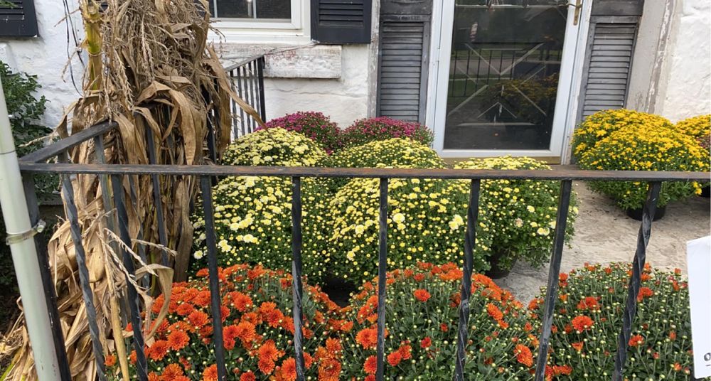 All Photos for Jenkins Landscaping & Property Management LLC in Clinton, OH