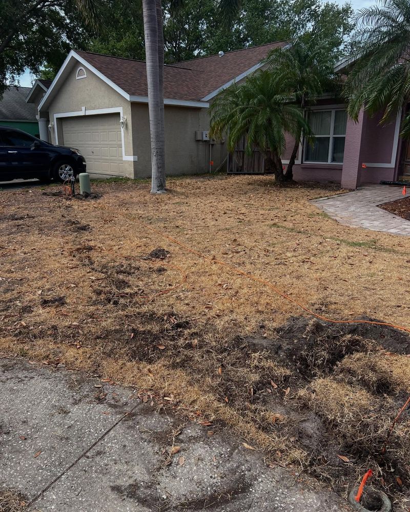 All Photos for AGT Landscape & Design LLC. in Saint Petersburg, FL