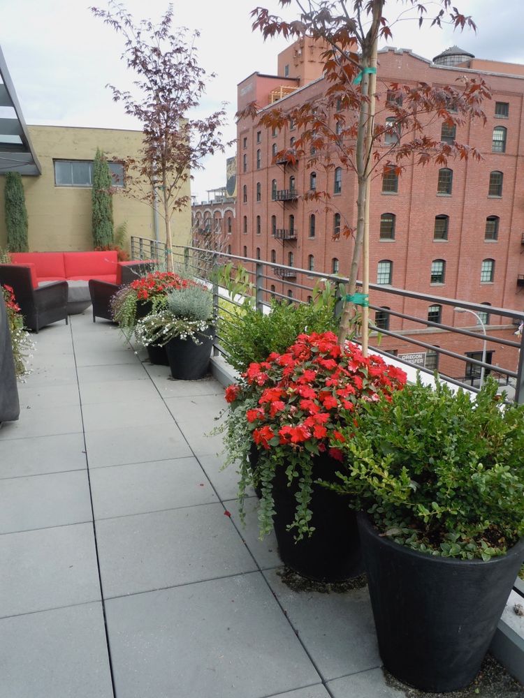 All Photos for Courtney Lewis Landscape Design in Portland, OR