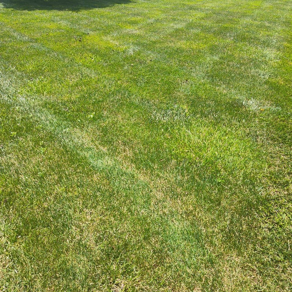 Lawn Care for Bearforce Lawn Care LLC in Greenfield, IN