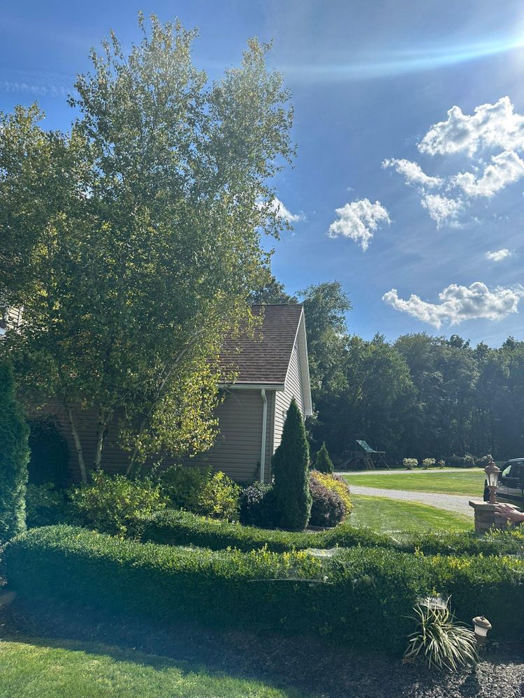 All Photos for OT Lawn and Landscaping LLC in Carey, OH