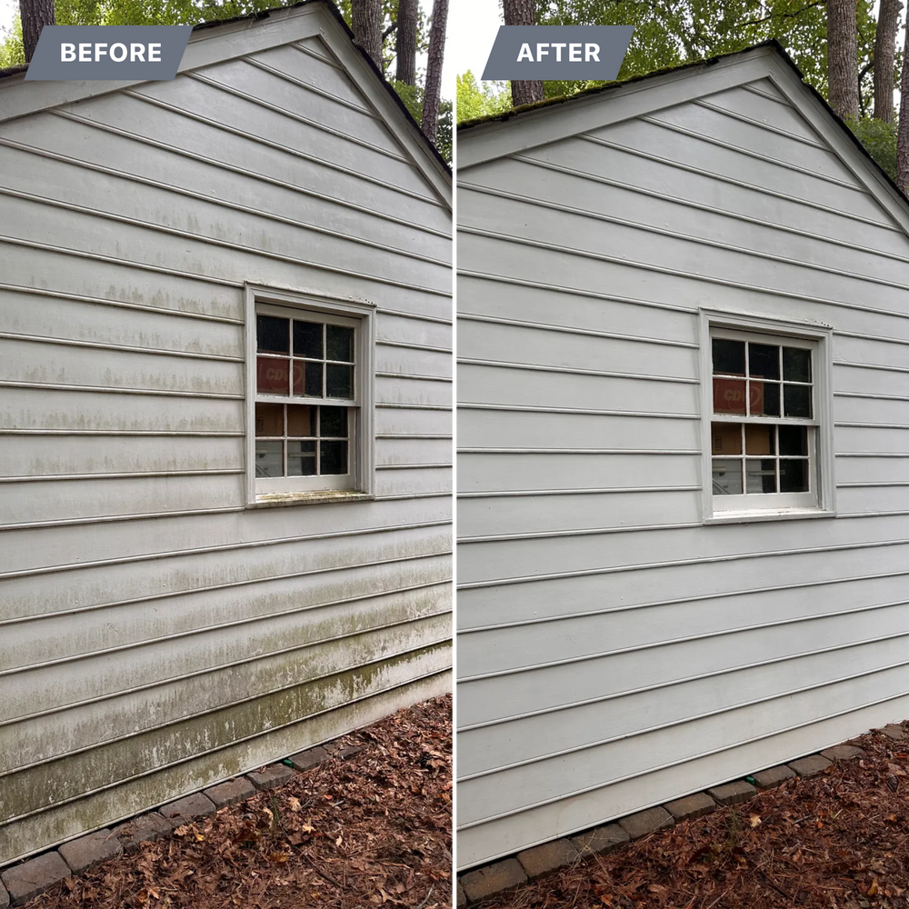 All Photos for LeafTide Solutions in Richmond, VA