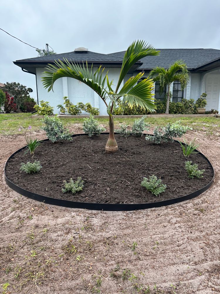 All Photos for MX Trees LLC in Englewood, FL