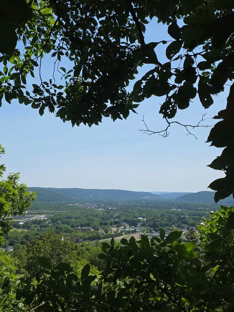 All Photos for Licensed to Cut Tree Service in Athens, PA