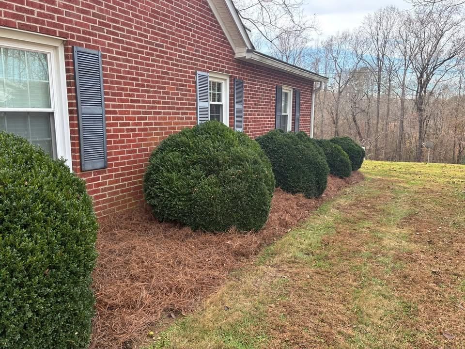 All Photos for Palmetto State Landscaping in Gaffney, SC