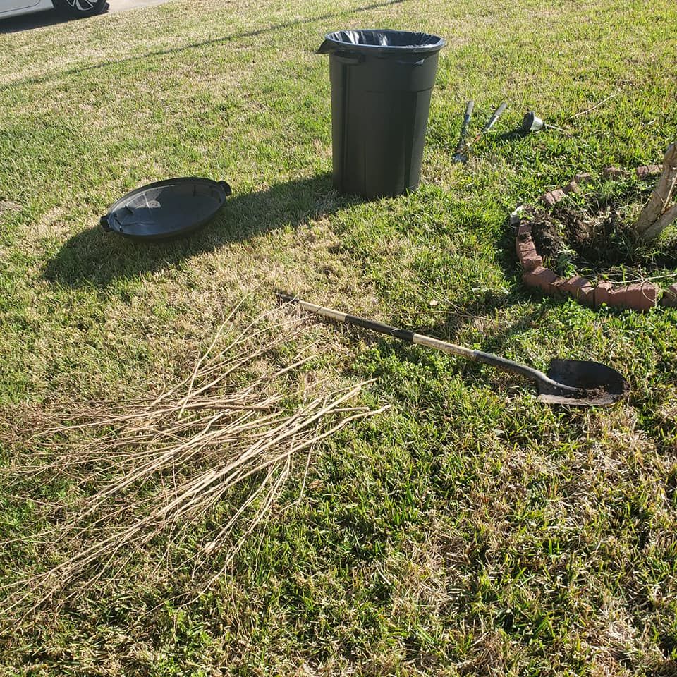 Lawn Care for T.W. Lawn Care in Pearland, TX