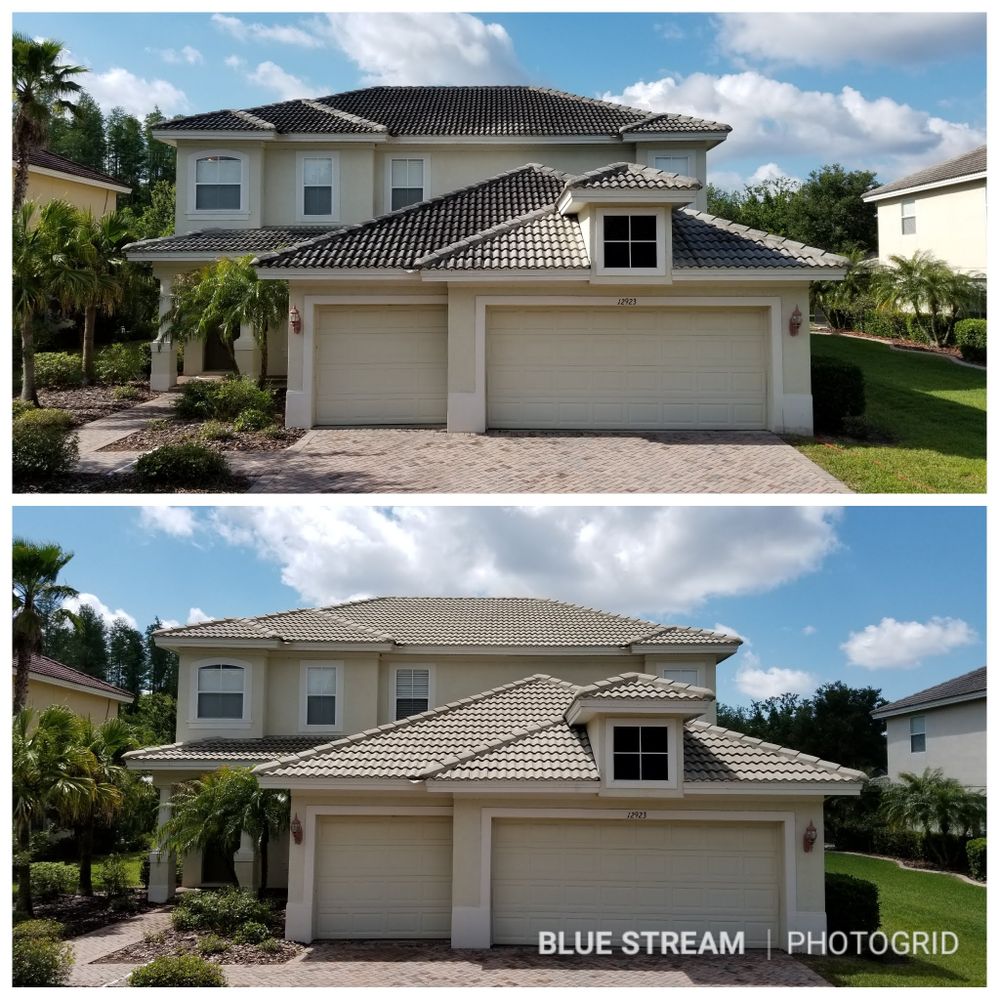 Roof Cleaning for Blue Stream Roof Cleaning & Pressure Washing  in Dover, FL