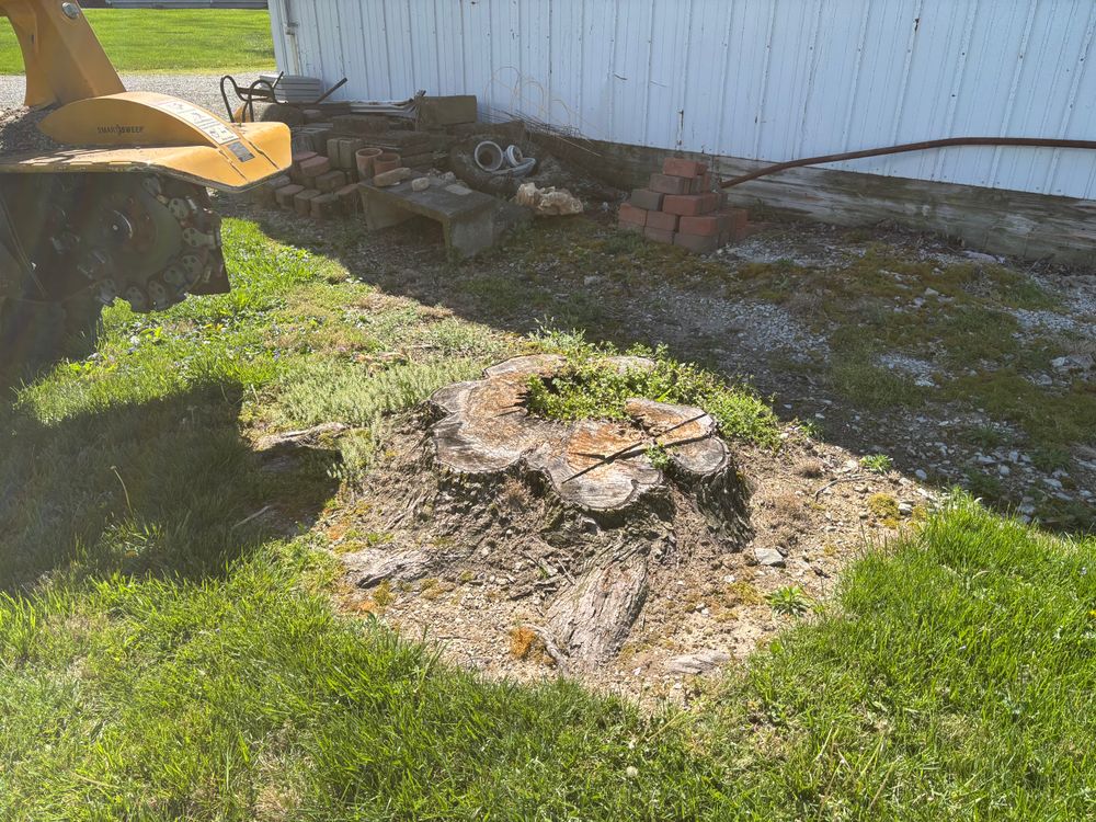 All Photos for Conrad's Stump Removal in Columbus, IN