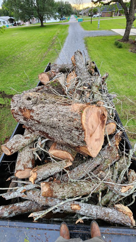 Tree Removal for Ken's Elite Cutters LLC  in Breaux Bridge, LA