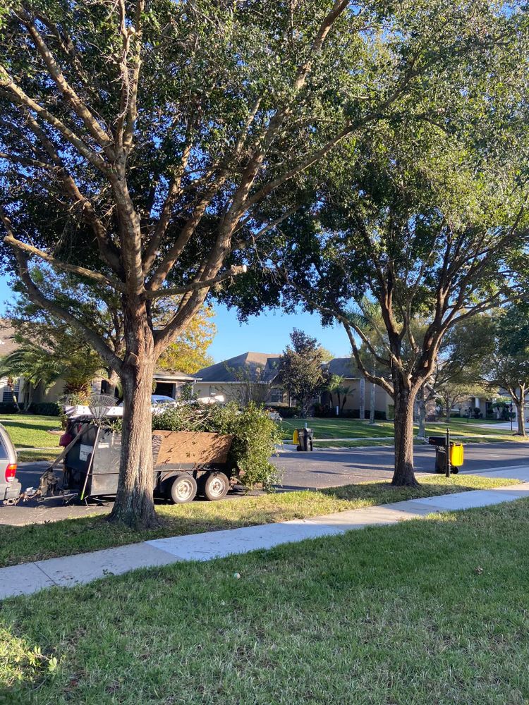 Fall and Spring Clean Up for Efficient and Reliable Tree Service in Lake Wales, FL