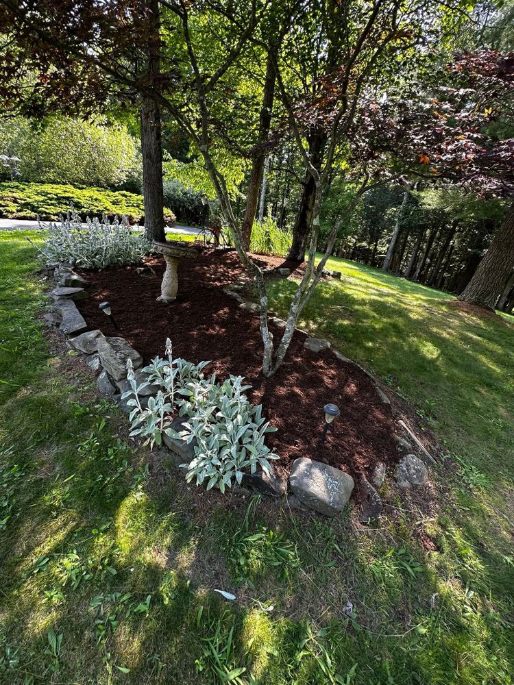 Lawn Care for Lopez Landscaping and Hardscapes in Scranton, PA