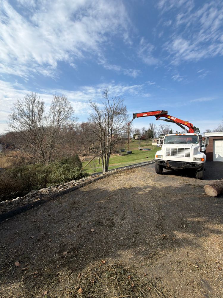 All Photos for Gregory Godleski Jr's Tree Service in Wexford, PA