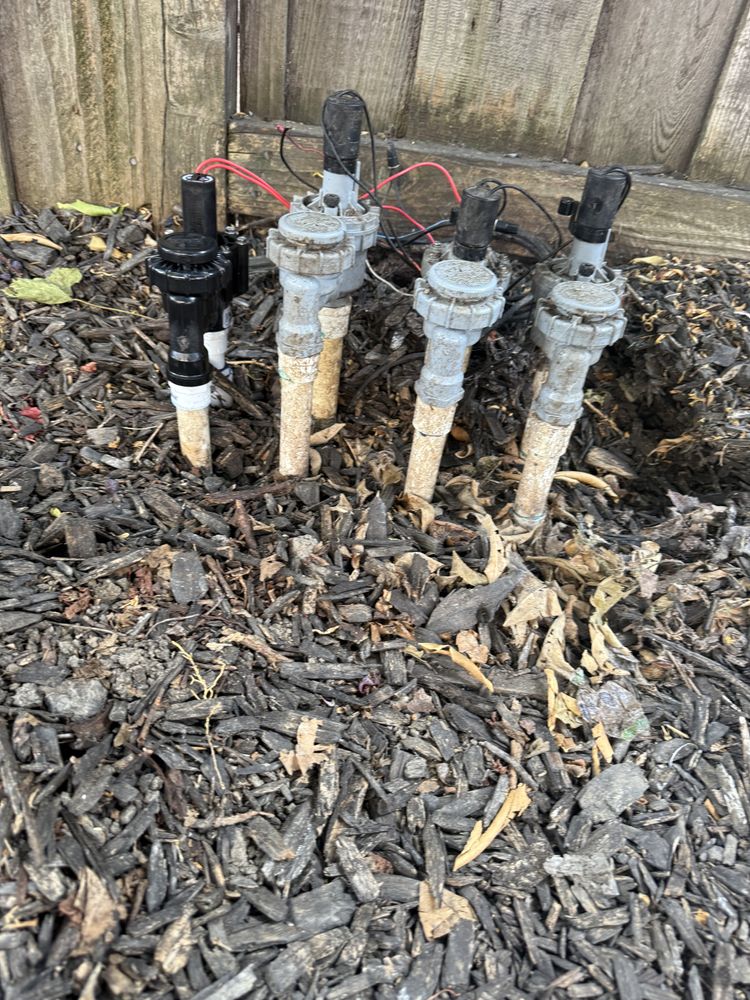 All Photos for CBA Landscaping in Hayward, CA