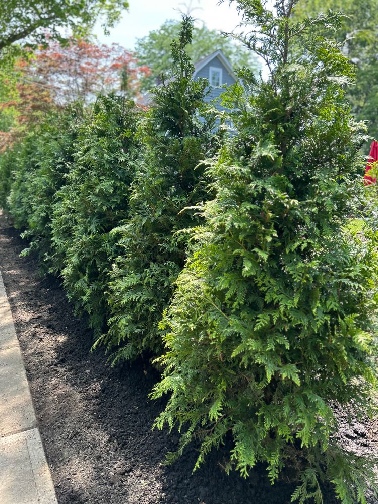 All Photos for Garciano Masonry in Springfield Township, NJ