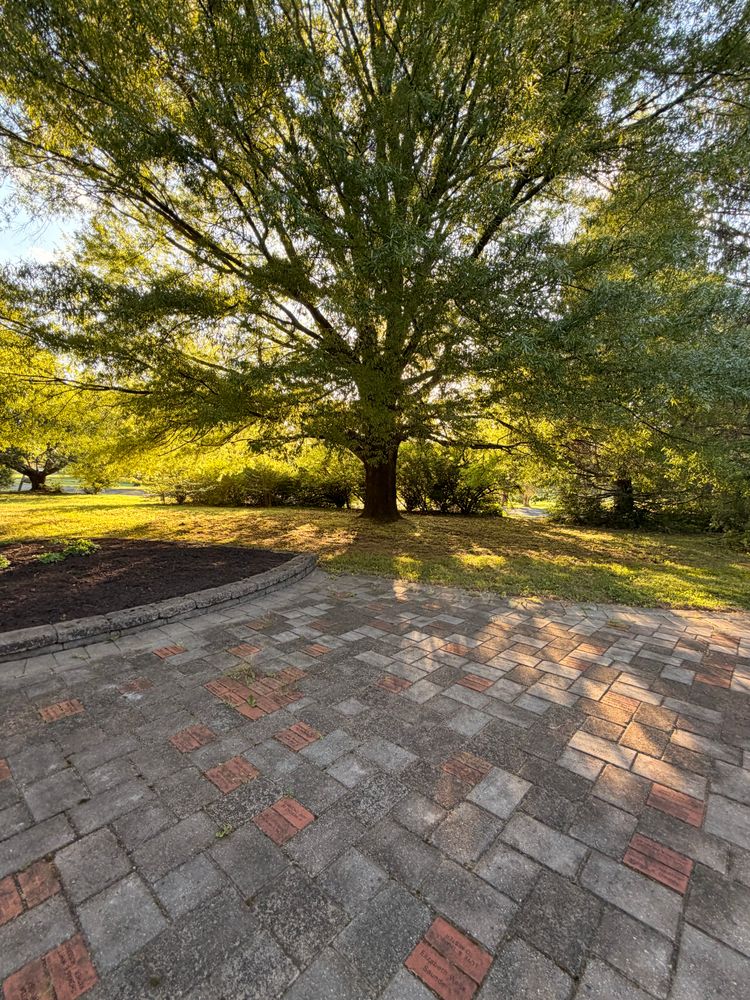 All Photos for Valencia’s Lawncare in Charlottesville, VA