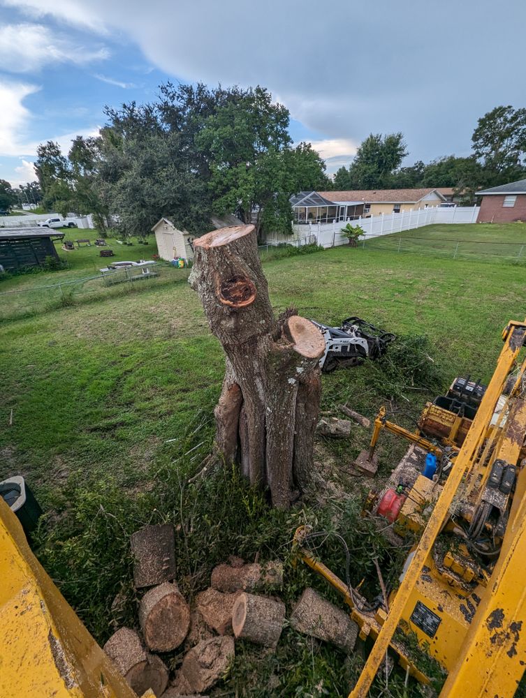 All Photos for Regal Tree Service and Stump Grinding in Wauchula, FL