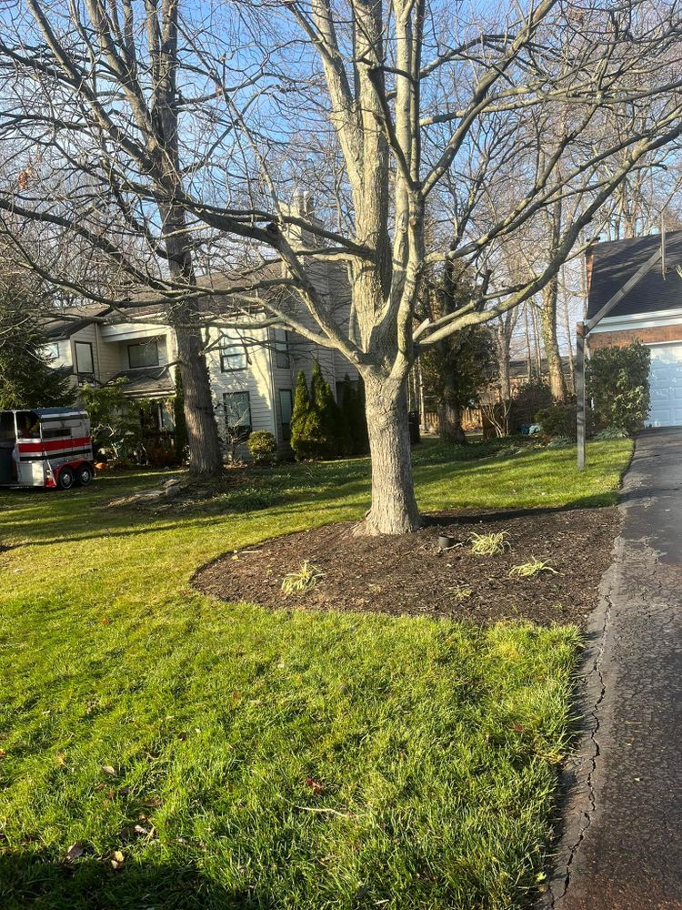 All Photos for Cincinnati’s Finest Landscape Services LLC in Cincinnati, OH