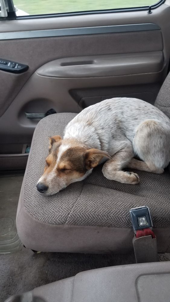 All Photos for Platinum Lawn Service in Santaquin, UT