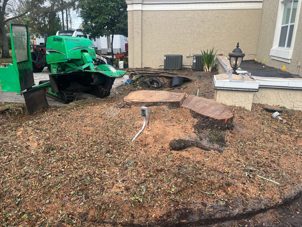 All Photos for Busy Beaver Stump Removal, Inc in Clearwater, FL