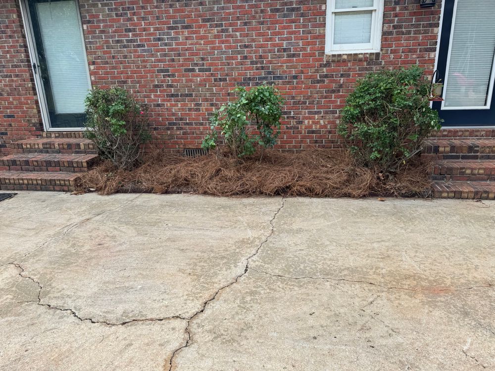 Land Managment  for Camalett Services in Perry, GA
