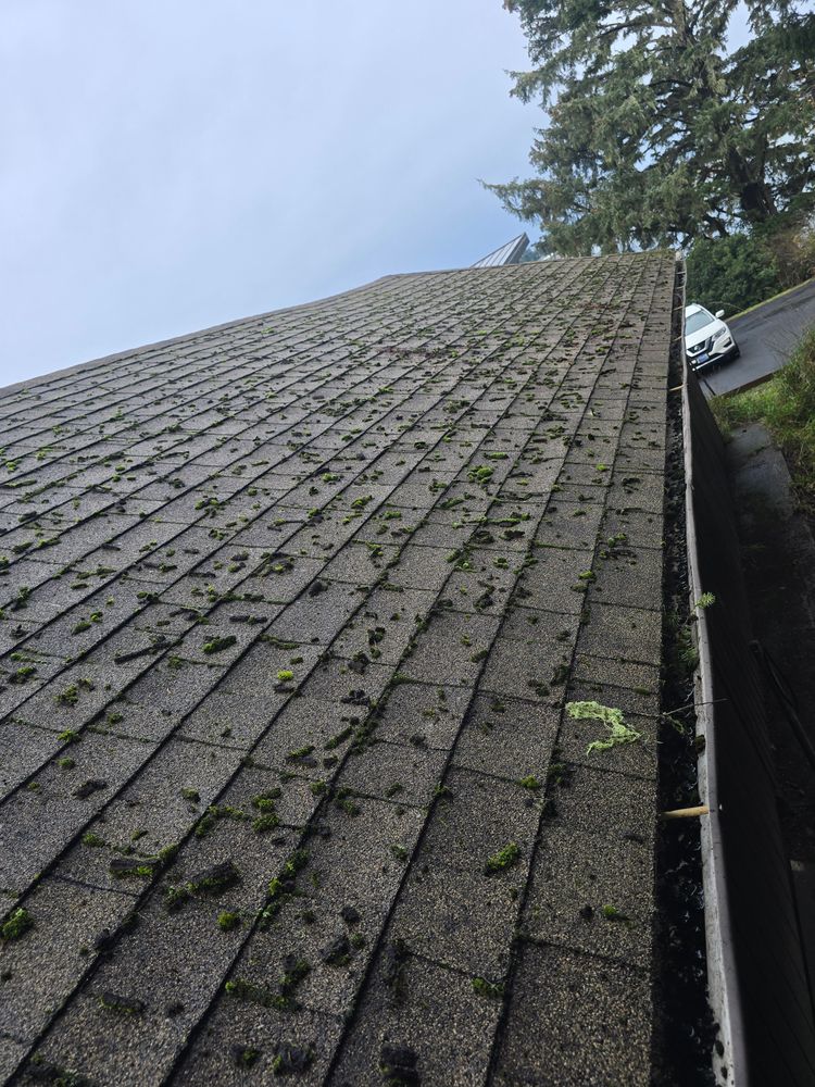 All Photos for Matthew Brooms Construction  in Coos Bay, OR