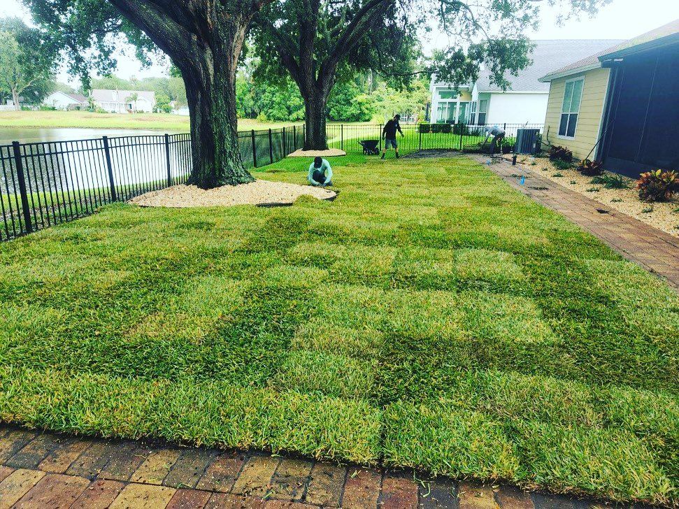 We provide homeowners with sod that will best suit their needs and budgets. We take into account the homeowner's preferences, as well as the climate and soil conditions to provide a custom sod layout. for <s>Lawns By St. John</s> in North East, Florida