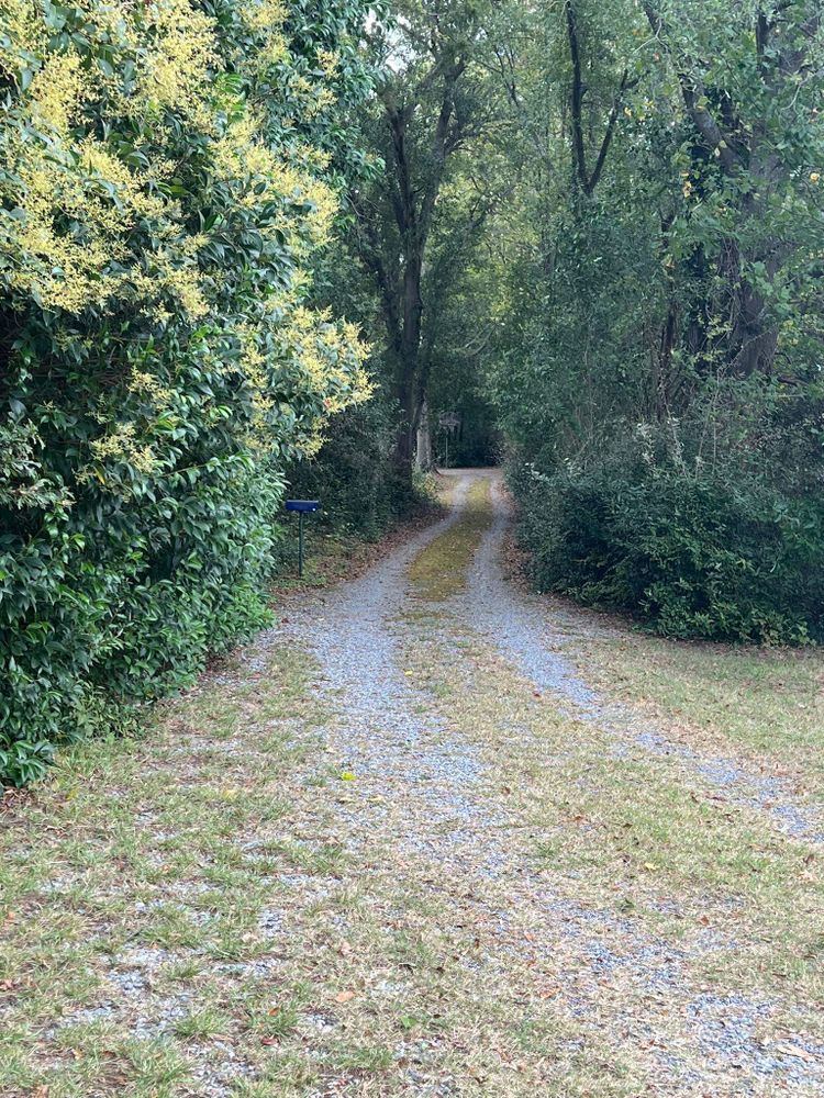 All Photos for Brooks Tree Service in Casar, NC