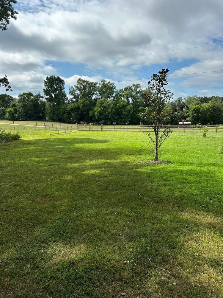 All Photos for Rawls Tree Care in Richmond, VA
