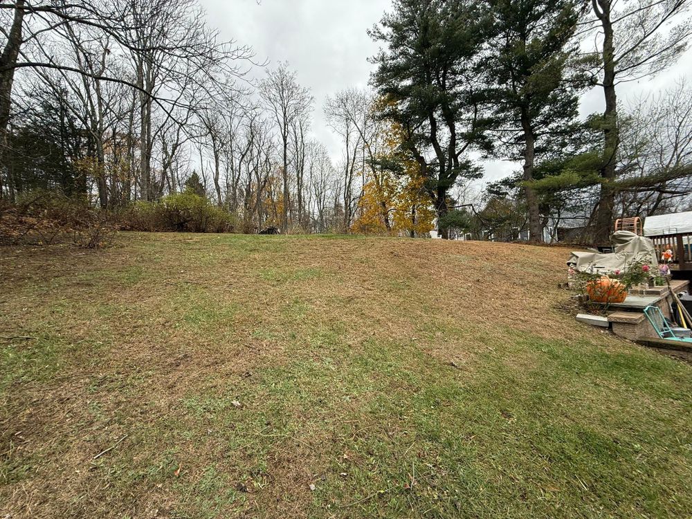 All Photos for Ardisi Property Maintenance LLC in Poughkeepsie, NY 