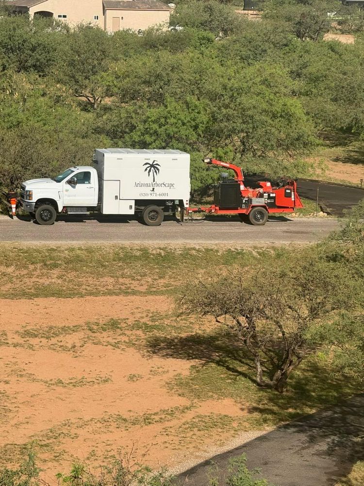 All Photos for By Faith Landscaping in Sierra Vista, AZ