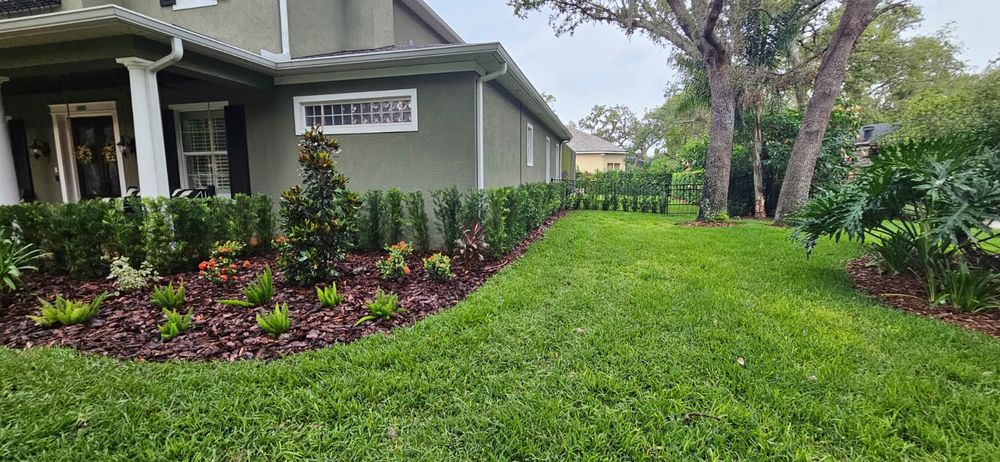 Landscaping for Tezna Landscaping, Trees & Pavers in Valrico, FL