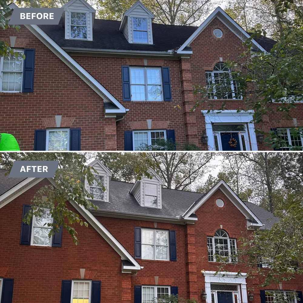 All Photos for LeafTide Solutions in Richmond, VA