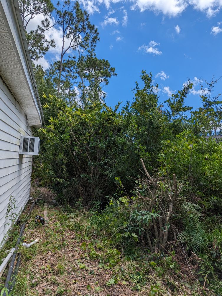 All Photos for Regal Tree Service and Stump Grinding in Wauchula, FL