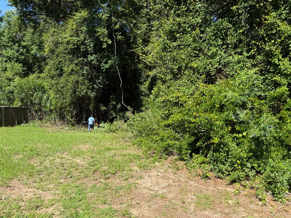 All Photos for T N L - Tree and Land Service in Reynolds, GA