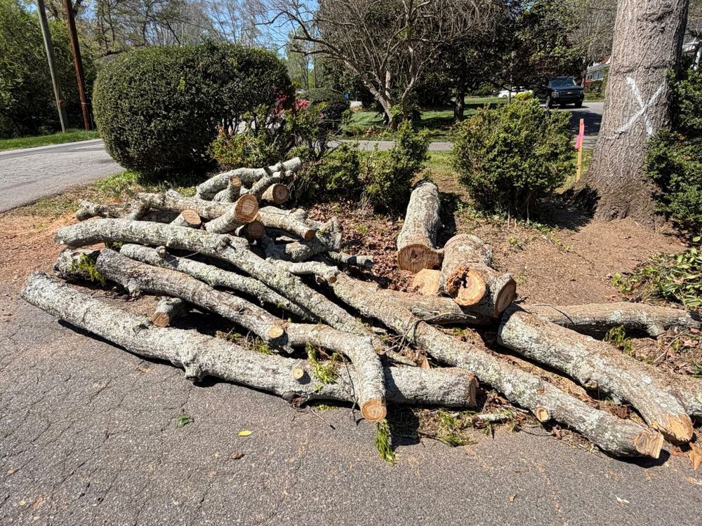 Our Emergency Tree Services provide fast, professional response for storm damage, fallen limbs, and hazardous trees, protecting your home and property with safe removal, urgent cleanup, and expert care when needed. for ABC Tree Service in Dobson, NC