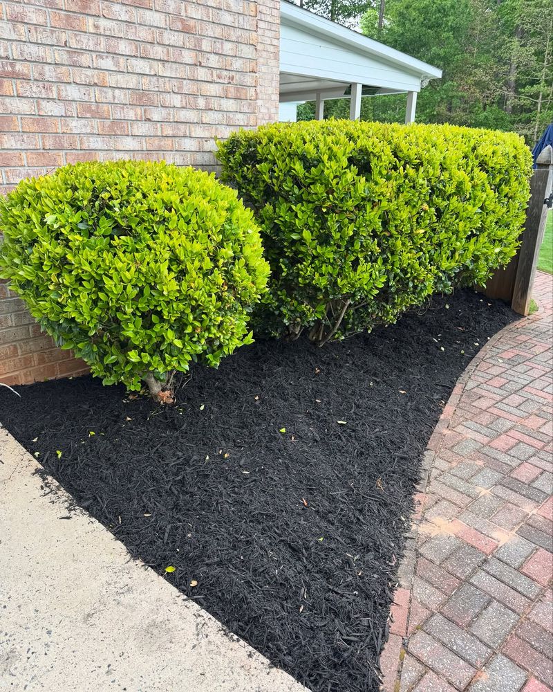 Landscaping for Bros With A Cause in Cumming, GA