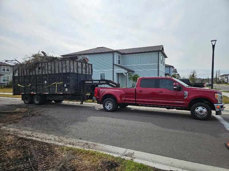 All Photos for Bay Area Bobcat in Riverview, FL