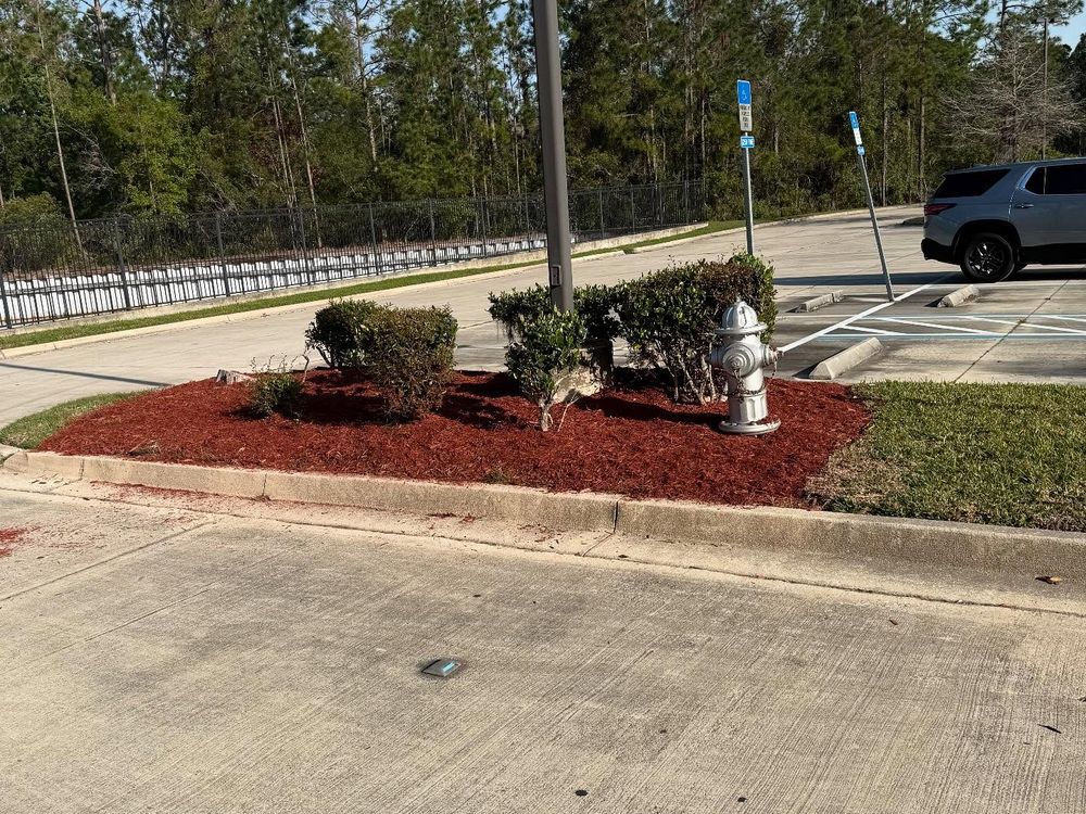 All Photos for Whole 9 Yards Services in Green Cove Springs, FL