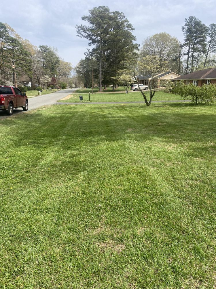 Fall and Spring Clean Up for Alligator Lawn Care LLC in Siler City, North Carolina