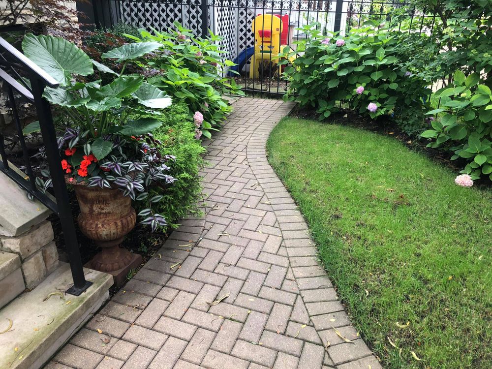 All Photos for CSI of Chicago in Springfield, IL