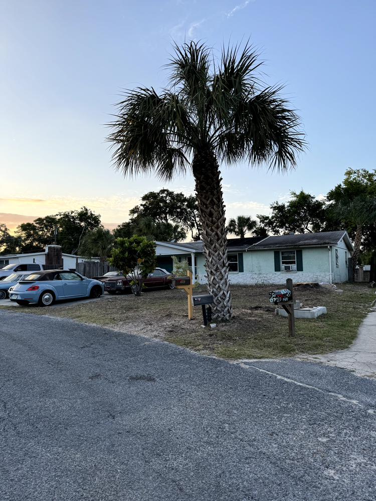 All Photos for Elevation Tree Service in Holiday, FL