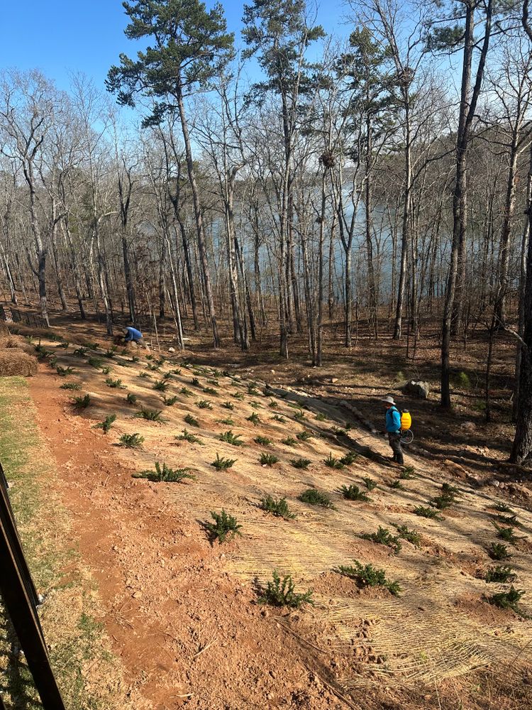 Landscaping for Hydra-Nomix  in Canton,  GA